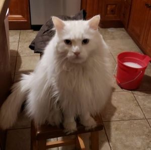 Meet your Posher, Cindy